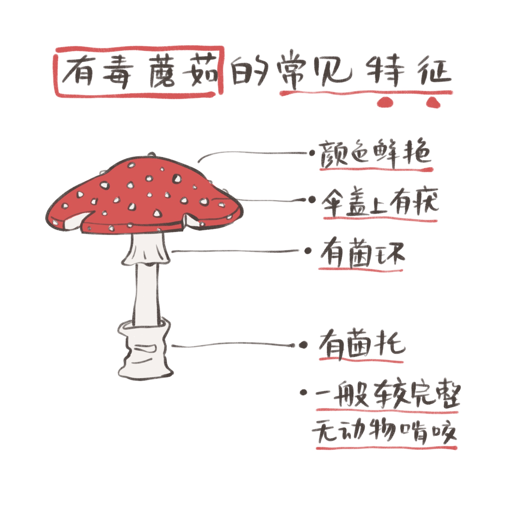 toxic mushroom features 