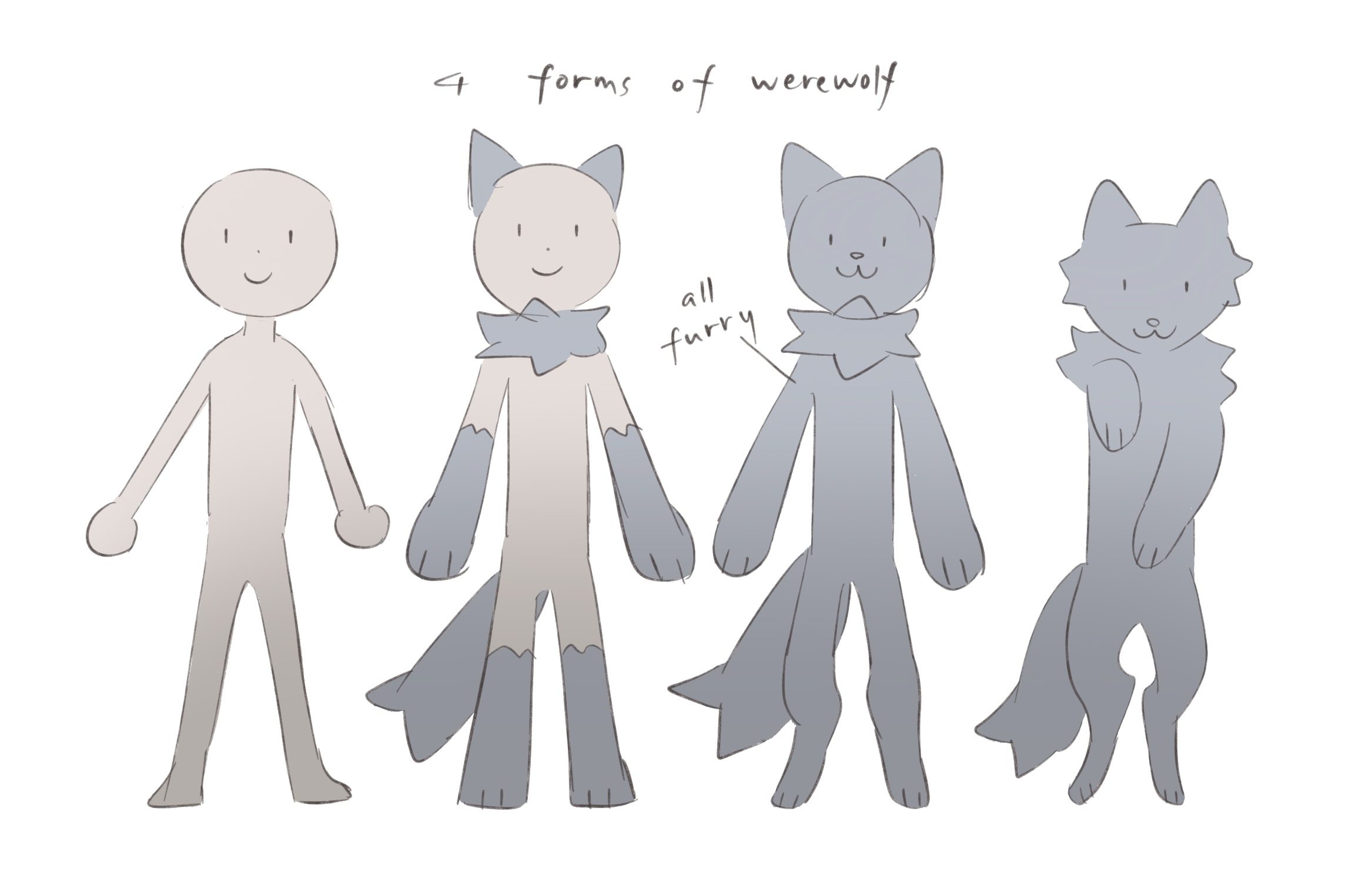 4 forms of werewolf